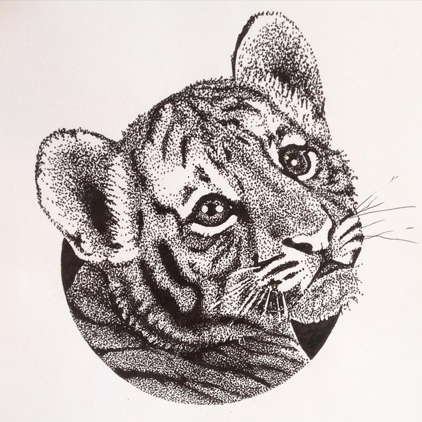Awesome Black & Grey Ink Realistic Baby Tiger Head Tattoo Design