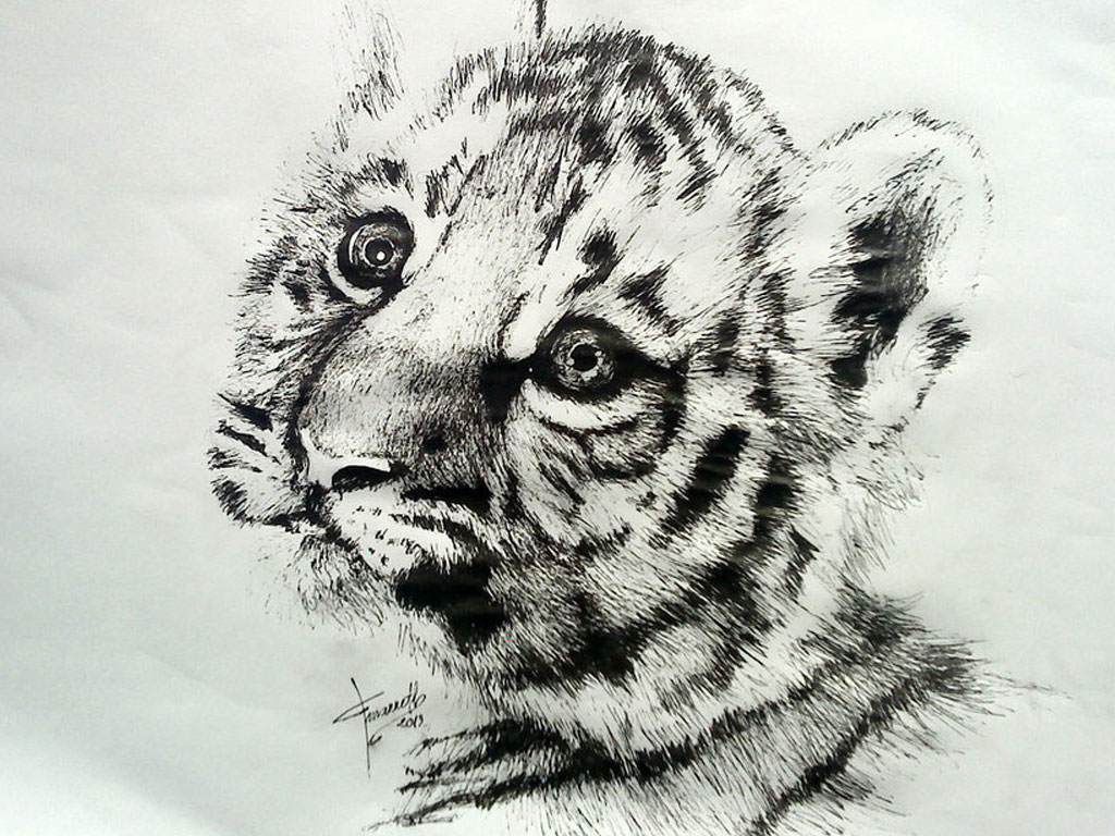 Awesome Black & Grey Ink Realistic Baby Tiger Tattoo Design