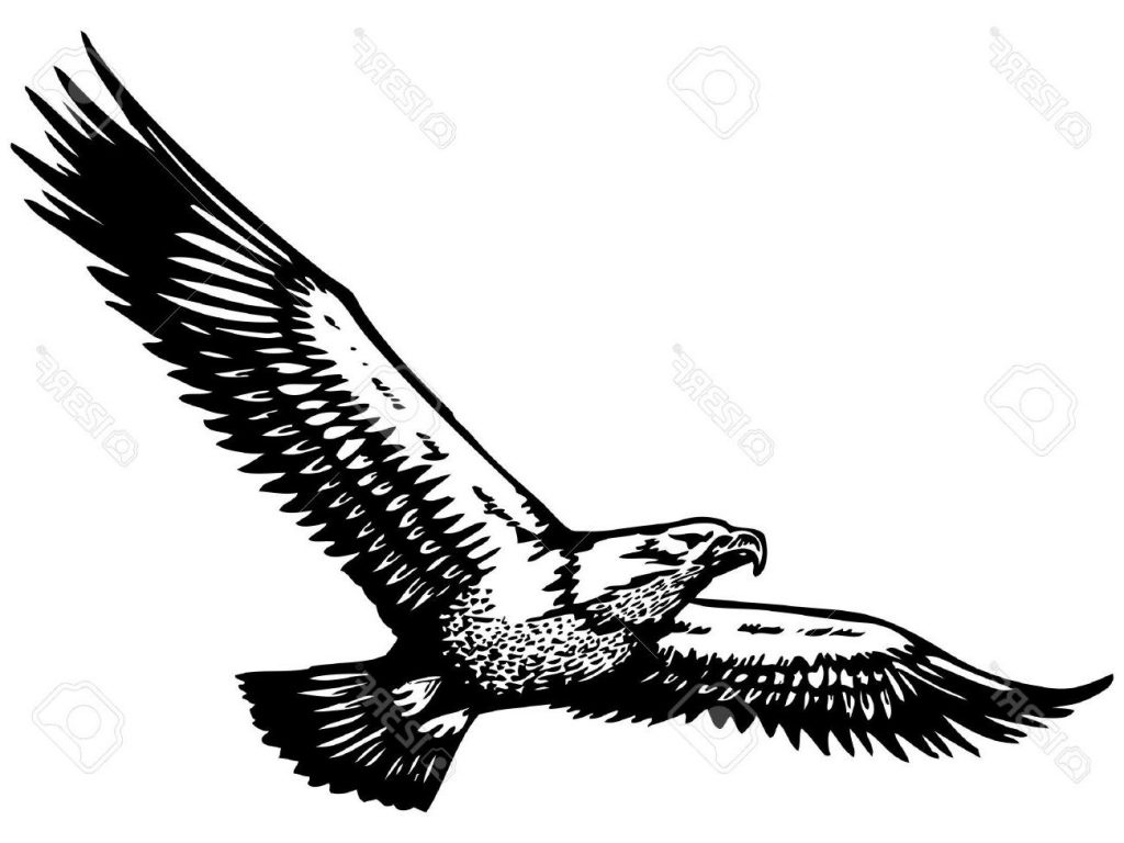 Awesome Black Ink Flying Eagle Tattoo Vector