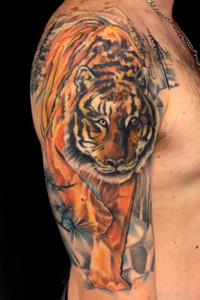Awesome Realistic Colored Walking Tiger Tattoo On Shoulder & Half Sleeve