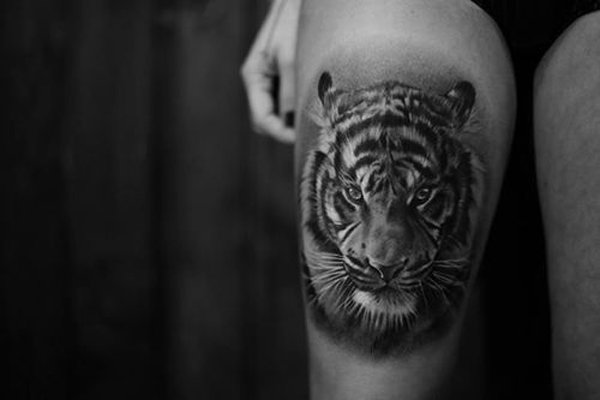 Black & Grey Ink Realistic Tiger Head Tattoo On Thigh