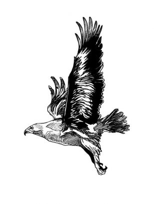 Black & Grey Ink Flying Eagle From Side Tattoo Design