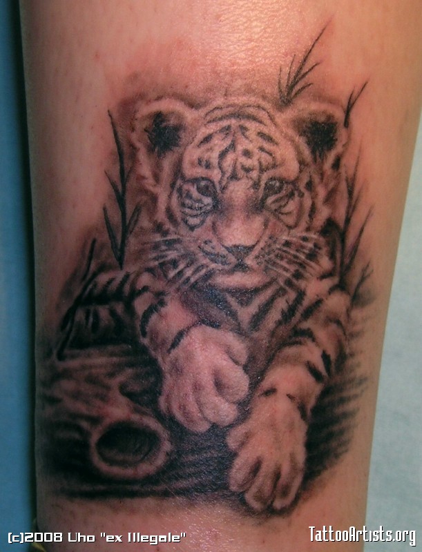 Black & Grey Realistic Baby Tiger Tattoo On Arm
