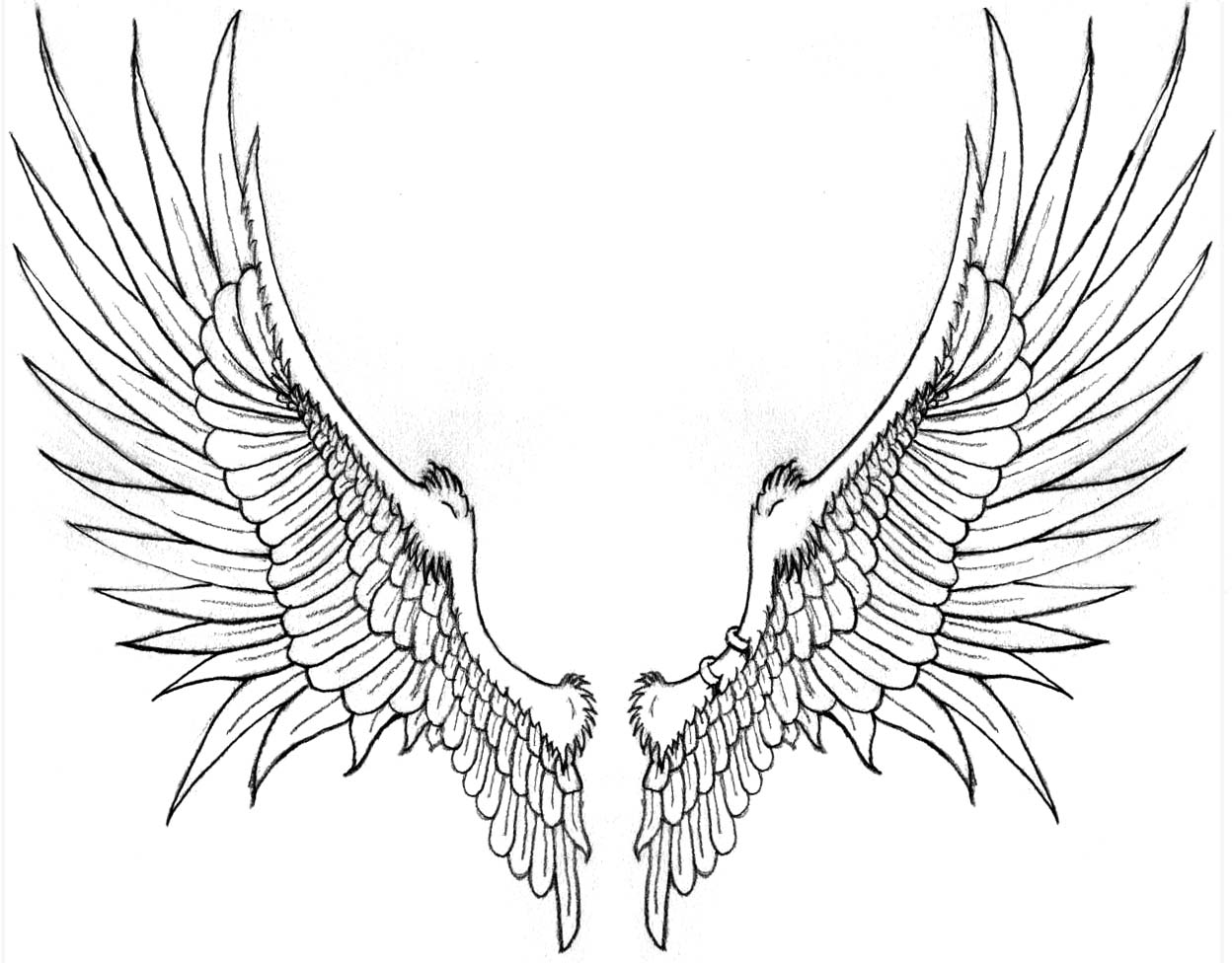 Black Ink Outline Eagle Wings Tattoo Design