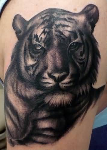 Black Ink Realistic Tiger Tattoo On Shoulder