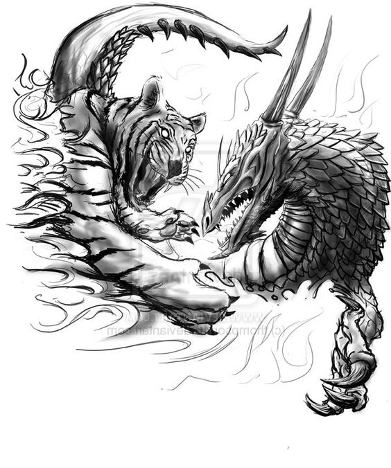 Black & White Dragon and Tiger Fighting Tattoo Design