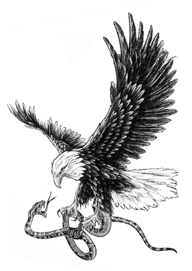 Black & White Realistic Bald Eagle & Snake Tattoo Design