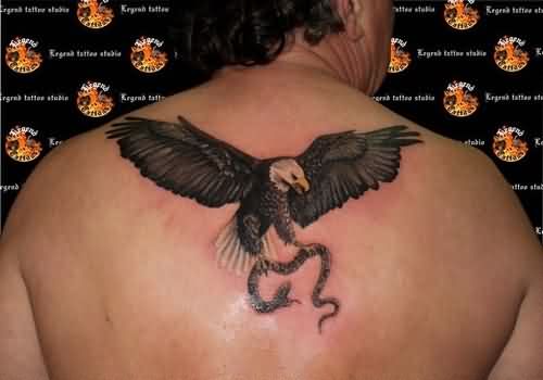 Grey Ink American Bald Eagle Carrying Snake Tattoo On Upper Back