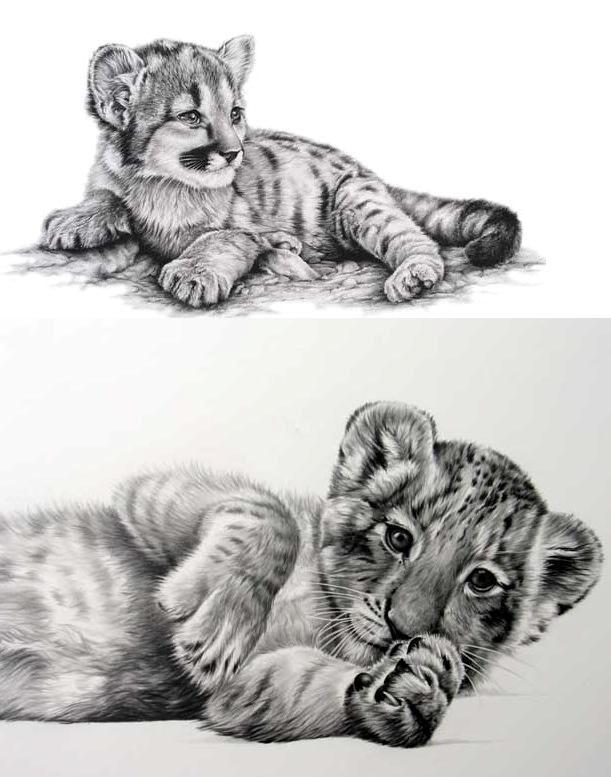 Grey Ink Cute Realistic Baby Tigers Tattoo Designs