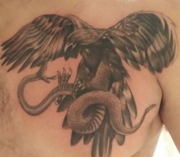 Grey Ink Realistic Eagle & Snake Tattoo On Left Chest