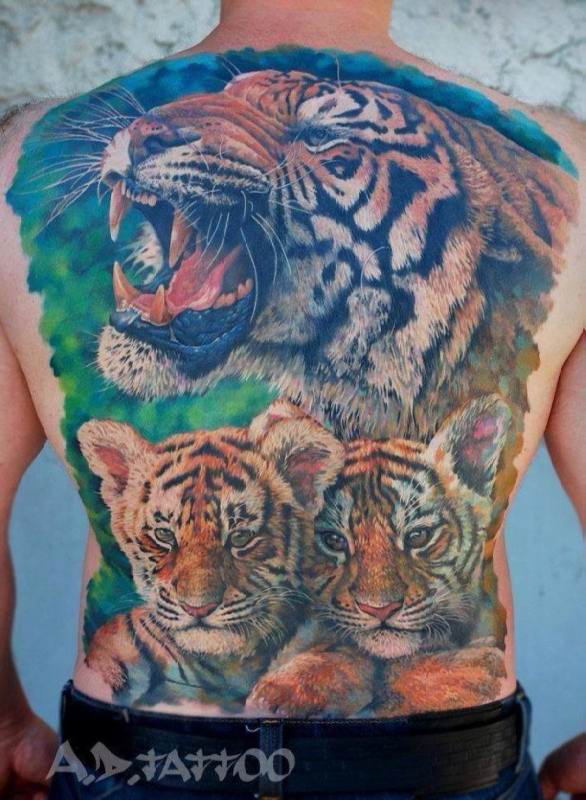 Large Realistic Roaring Tiger With Baby Tigers Tattoo On Male Full Back