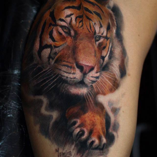 Realistic Colored Tiger Tattoo On Bicep