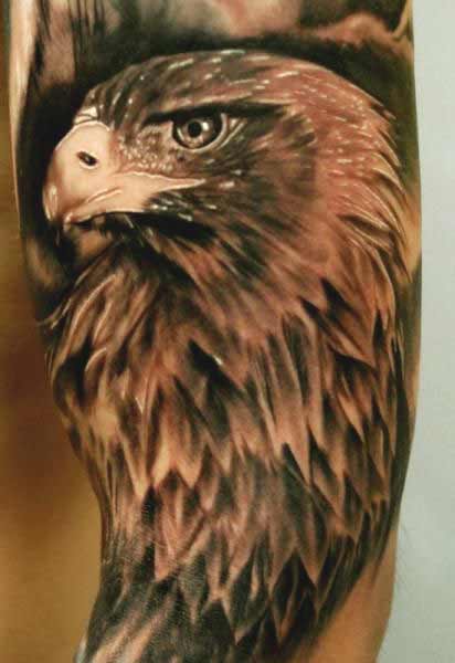 Realistic Eagle Head Tattoo On Half Sleeve For Men