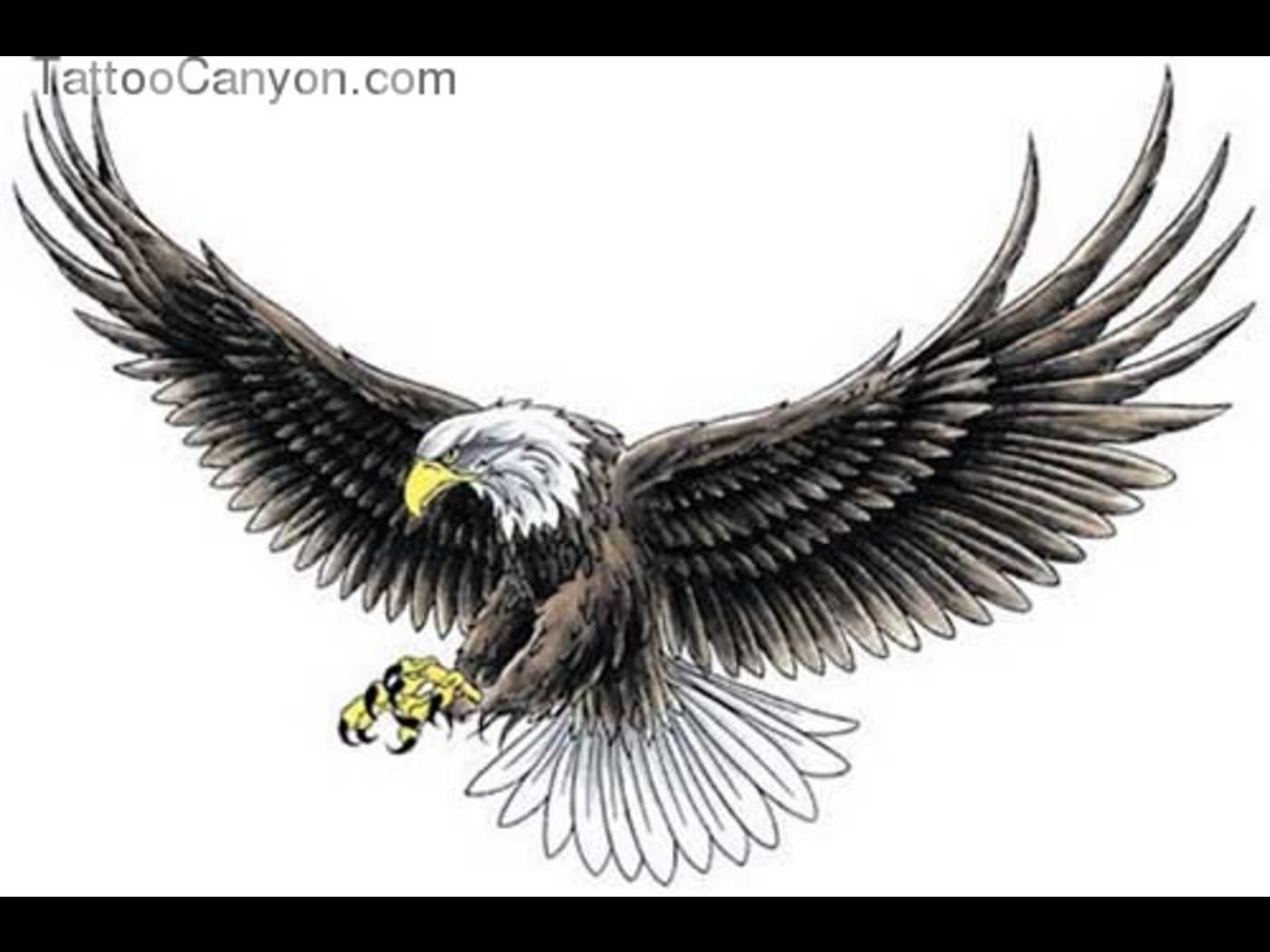 Realistic Flying Bald Eagle Tattoo Design