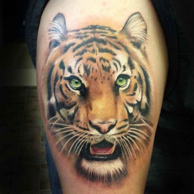 Stunning Realistic Colored Tiger Head Tattoo On Bicep