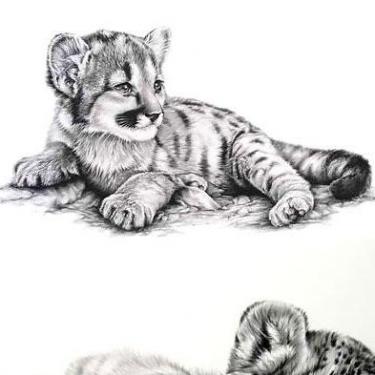 Wonderful Grey Ink Realistic Baby Tiger Tattoo Design