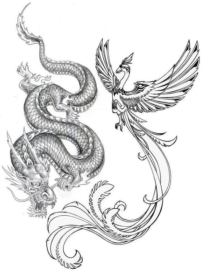Amazing Grey Ink Phoenix & Dragon Tattoo Design