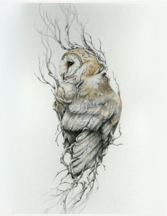 Amazing Realistic Barn Owl Tattoo Design By NestandBurrow