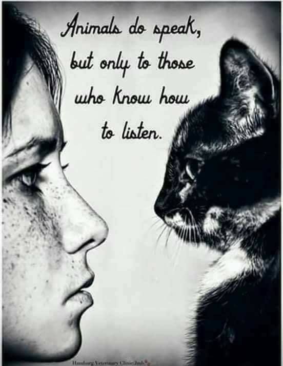 Animals Do Speak Buy Only To Those Who Know How To Listen.