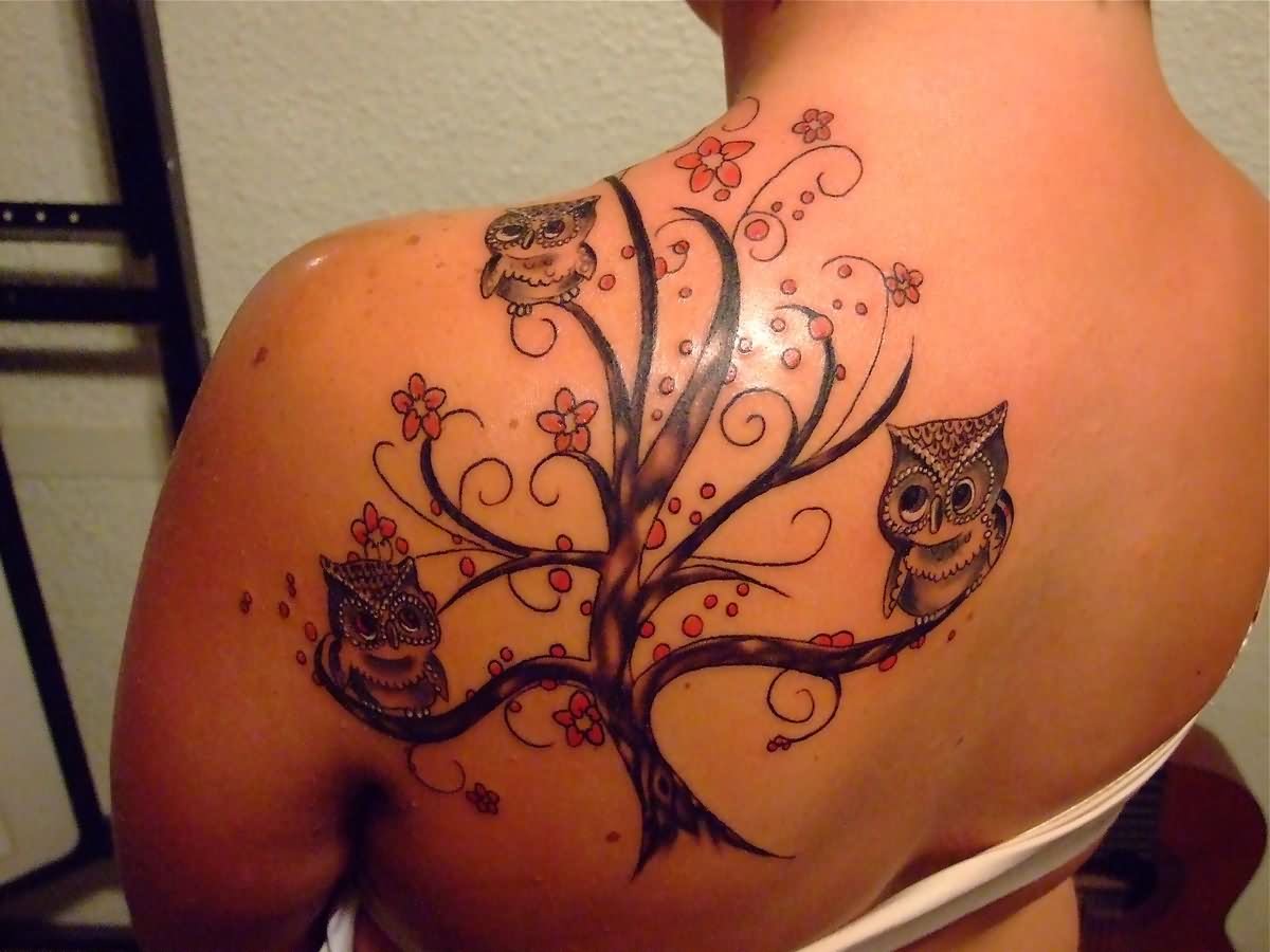 Astonishing Baby Owls Sitting On Cherry Tree Tattoo On Girl Side Back