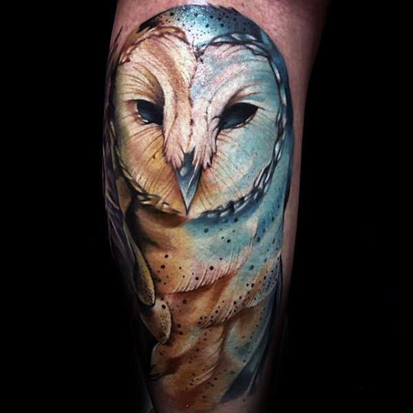 Astonishing Colorful Barn Owl Tattoo Design