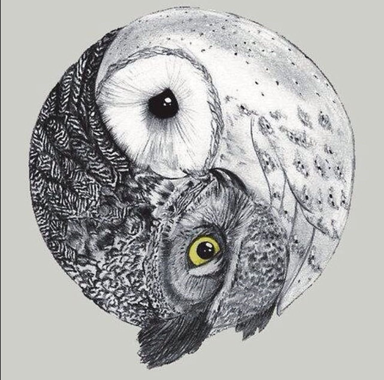 Barn Owl In Yin Yang Style Tattoo Design