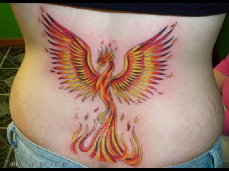 Beautiful Colored Flying Phoenix Tattoo On Lower Back