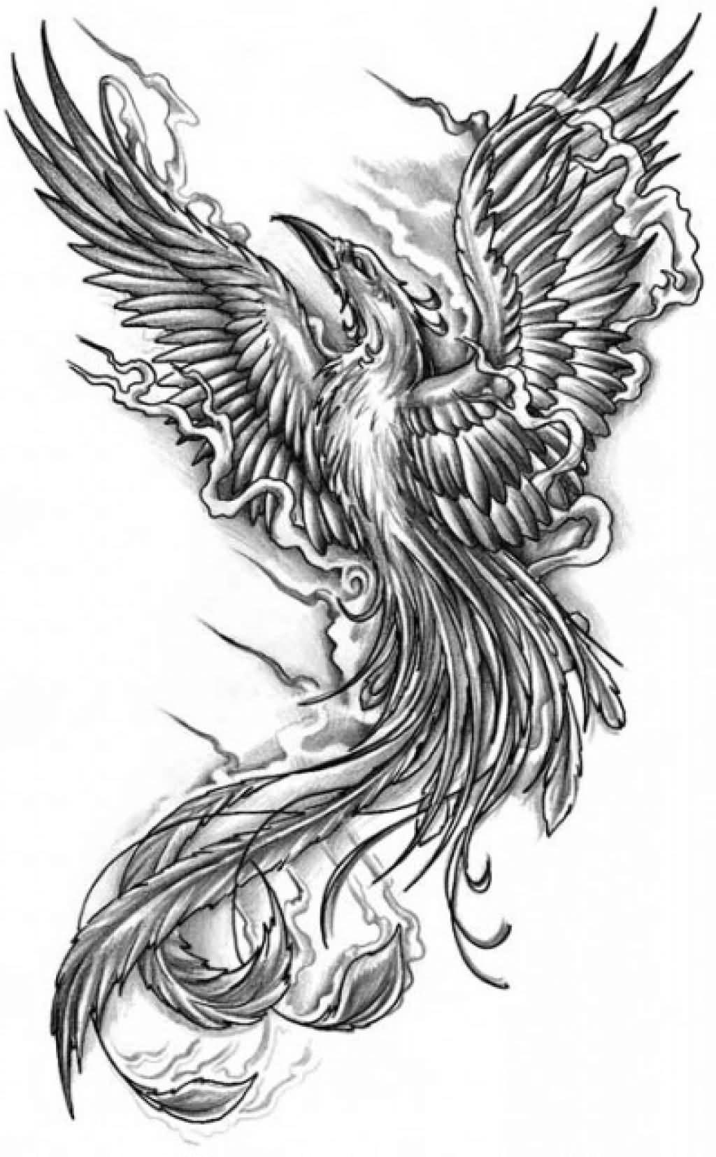 Black And Grey Flying Phoenix Tattoo Design