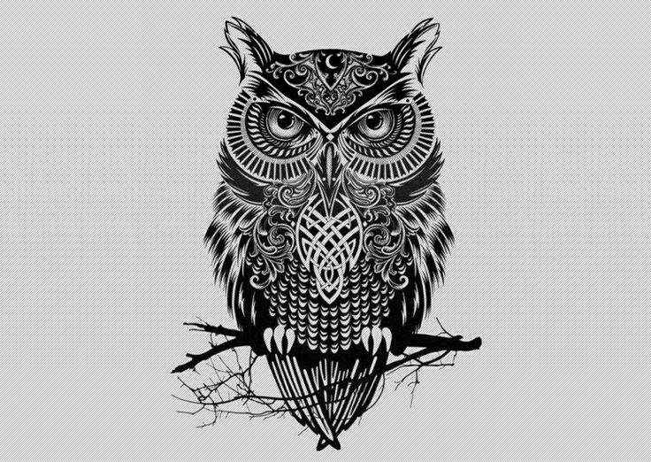 Black Ink Tribal Owl Tattoo Design With Celtic Knots