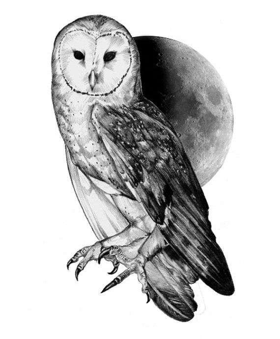 Black & White Barn Owl & Moon Tattoo Design
