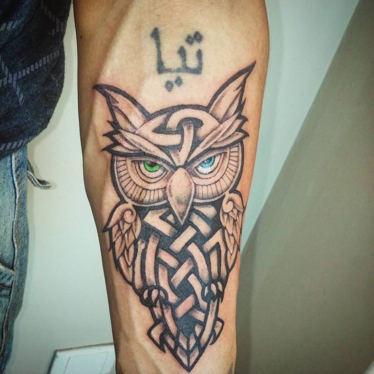 Blue & Green Eyed Celtic Owl Tattoo On Man Forearm