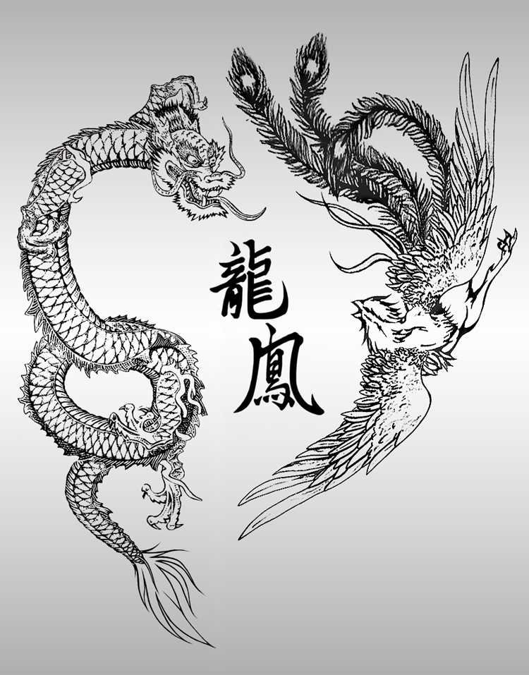 Chinese Dragon and Phoenix Tattoo Sketch