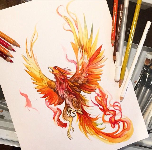 Colored Flying Phoenix Tattoo Sketch