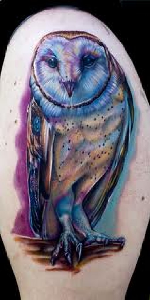 Colorful Barn Owl Tattoo On Half Sleeve