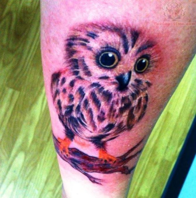Cute Realistic Baby Owl Tattoo On Arm