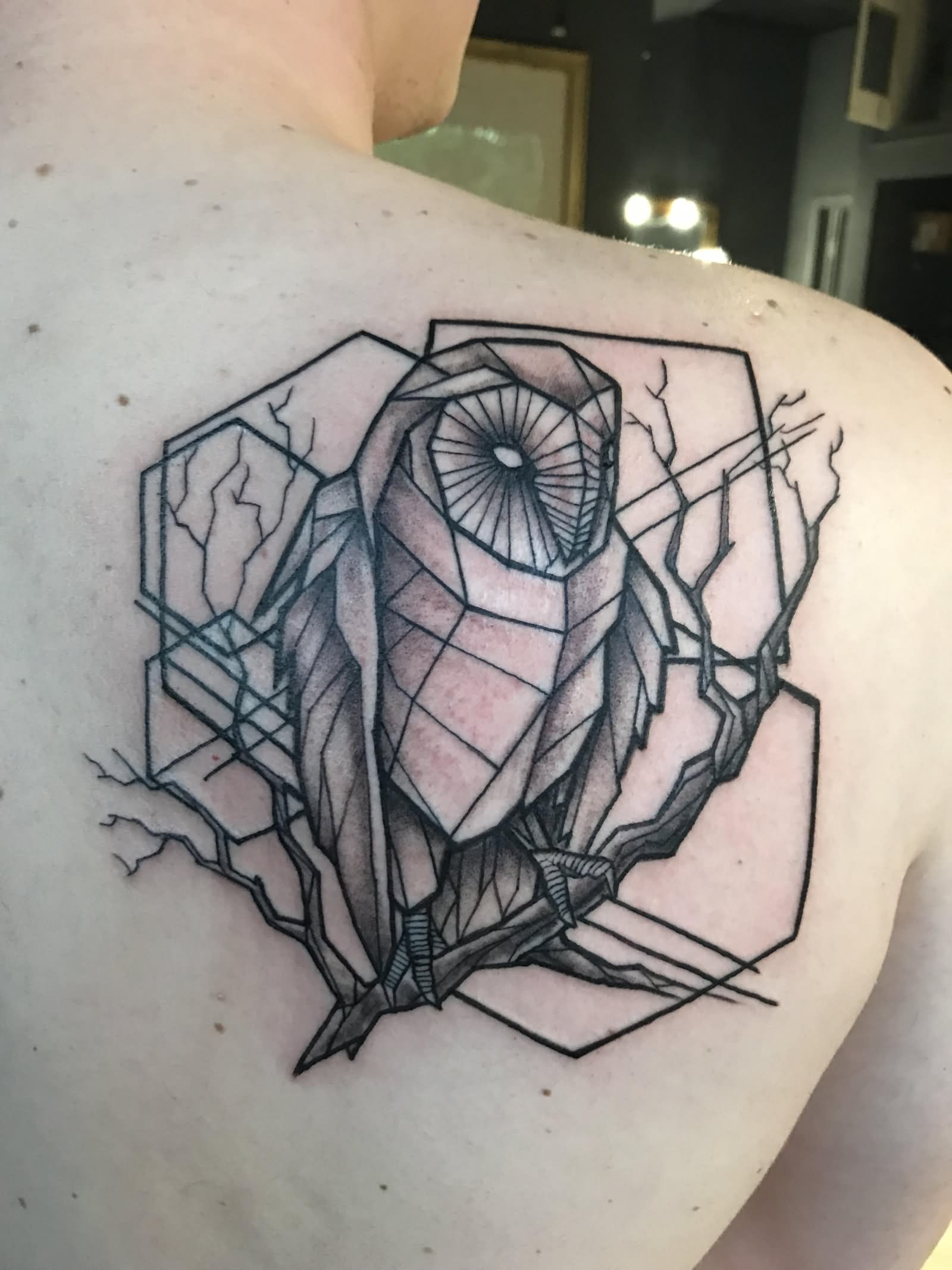 Geometric Barn Owl Tattoo On Back Shoulder by Dave Norton at Pino Bros Ink Cambridge MA