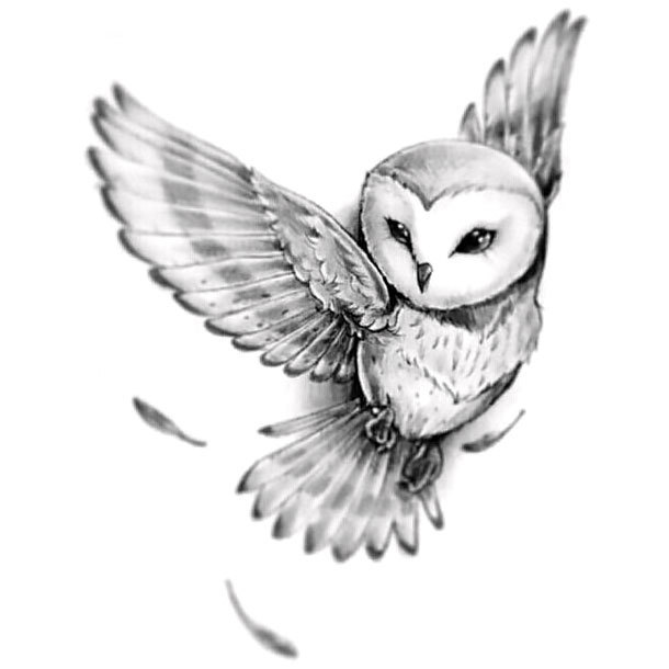 Grey Ink Flying Barn Owl Tattoo Design