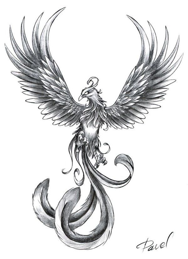 Grey Ink Flying Rising Phoenix Tattoo Sketch