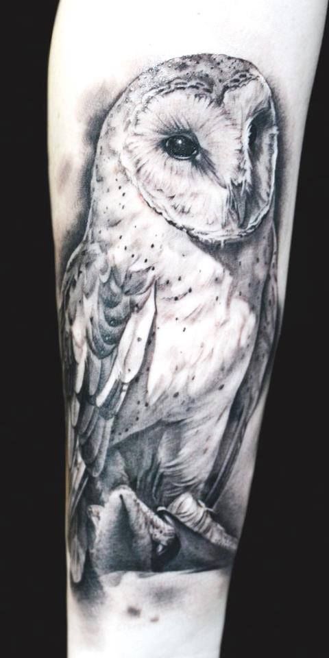 Grey & White Ink Sitting Barn Owl Tattoo On Male Forearm