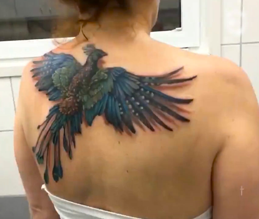 Incredible Colored Flying Phoenix Tattoo On Girl Back