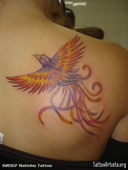 Multicolored Flying Phoenix Tattoo On Girl Back Shoulder