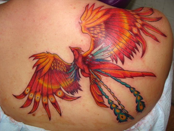 Orange Colored Flying Phoenix Tattoo On Girl Back Shoulder