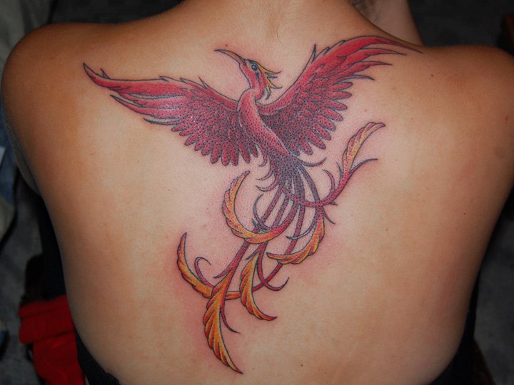 Red Flying Phoenix Tattoo By carobni on DeviantArt