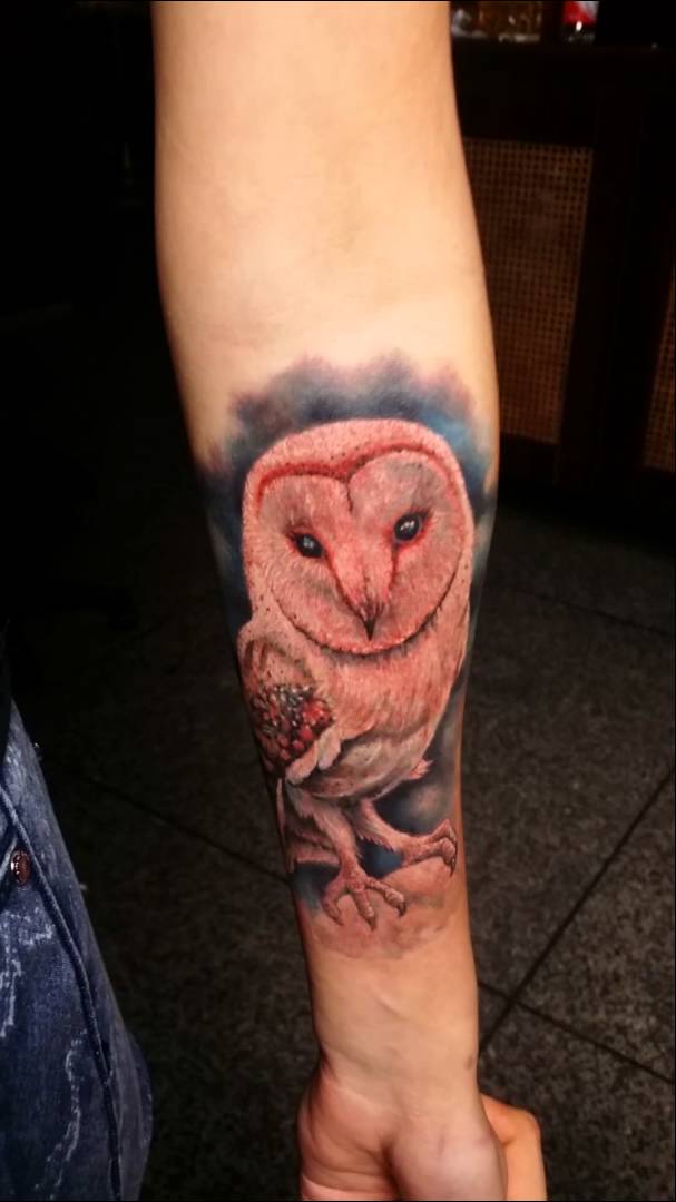 Simple Colored Barn Owl Tattoo On Forearm By Anabi