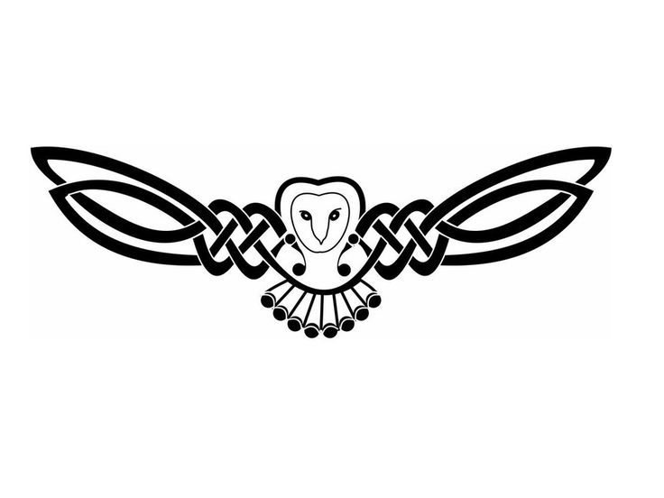 Simple & Stunning Celtic Owl Tattoo Design