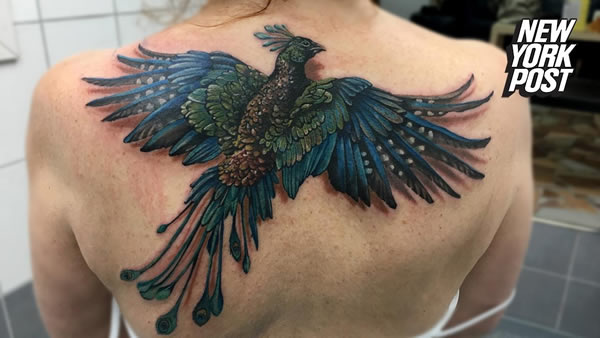 Stunning Peacock Colored Flying Phoenix Tattoo On Girl Back