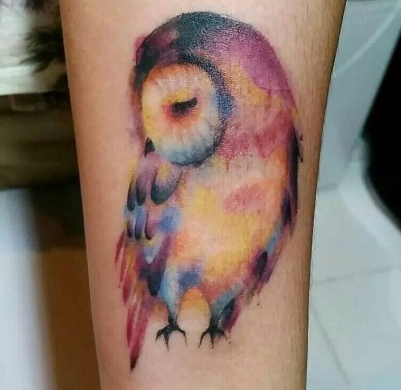 Wonderful Colorful Barn Owl Tattoo Design