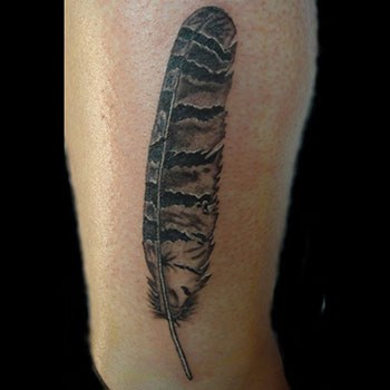 Black & Grey Ink Owl Feather Tattoo On Half Sleeve