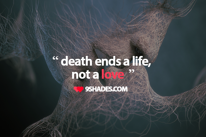 Death ends a life, not a love.