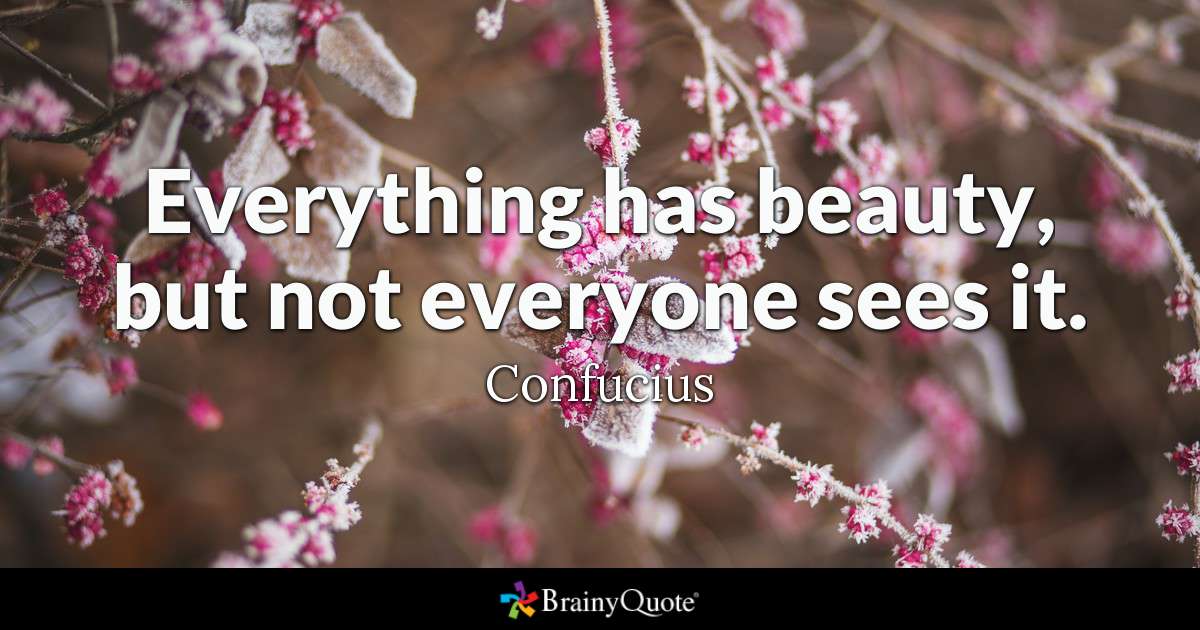 Everything has beauty, but not everyone sees it. Confucius